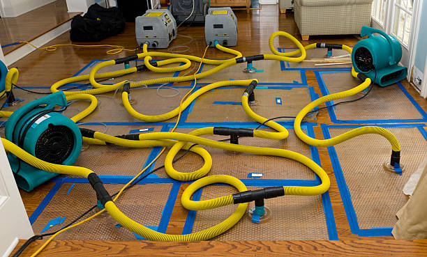 Professional Water Damage Repair technician working in Mill Village, PA